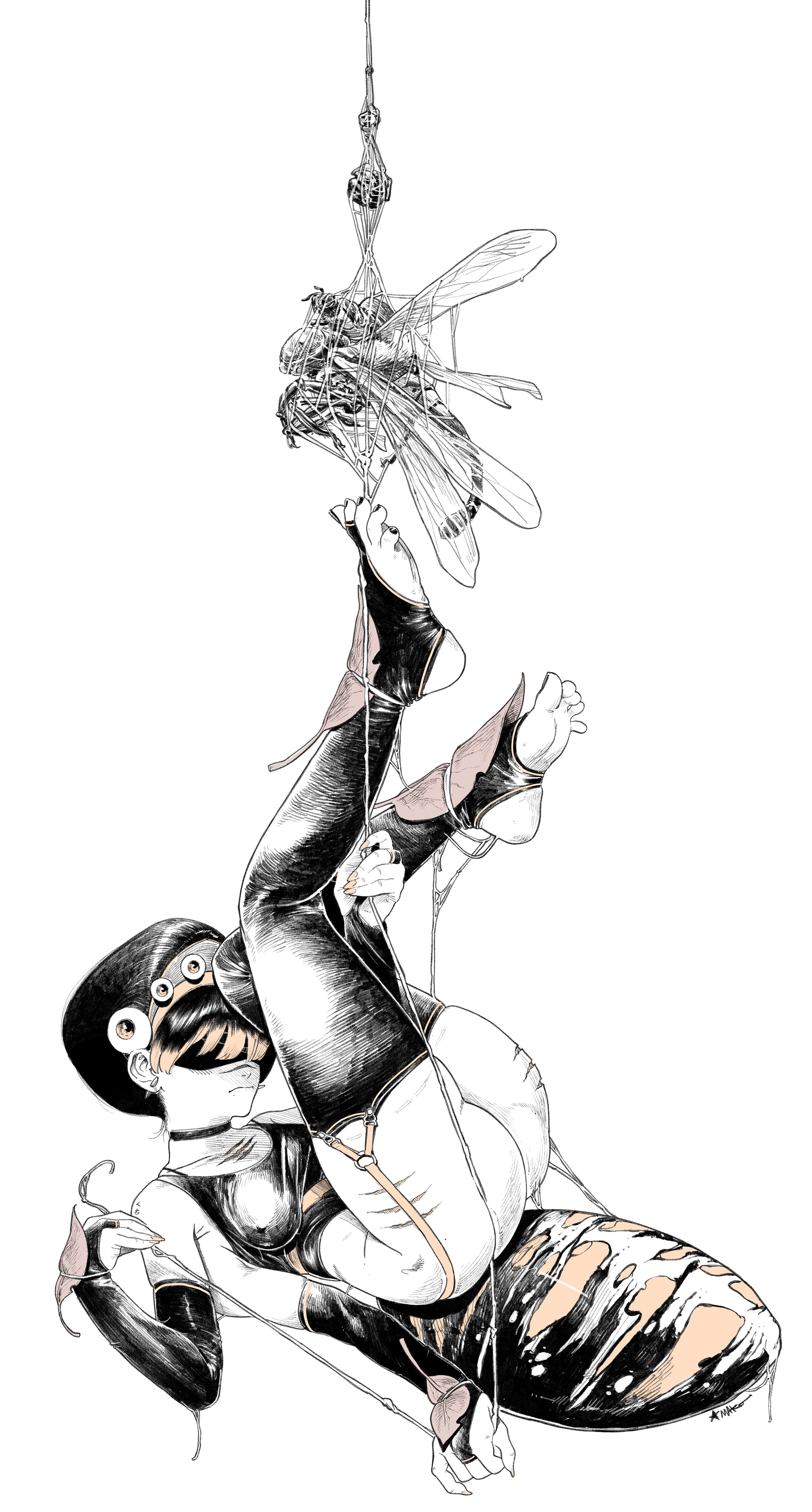 ORB-WEAVER PRINT